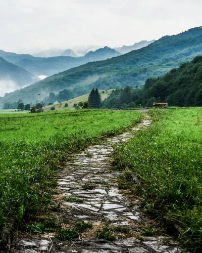 Bosna i Hercegovina