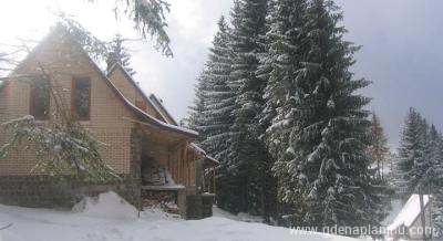 Vila Aleksandar, private accommodation in city Kopaonik, Serbia