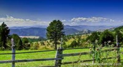 Apartman, logement privé à Zlatibor, Serbia
