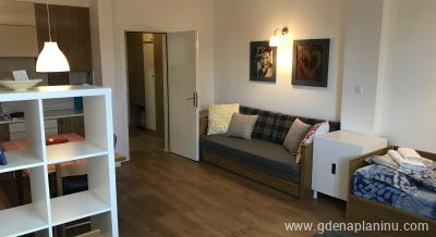 Vila Nikola - Apartman "Oli", private accommodation in city Kopaonik, Serbia