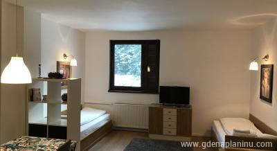 Vila Nikola  apartman "Gora" , private accommodation in city Kopaonik, Serbia