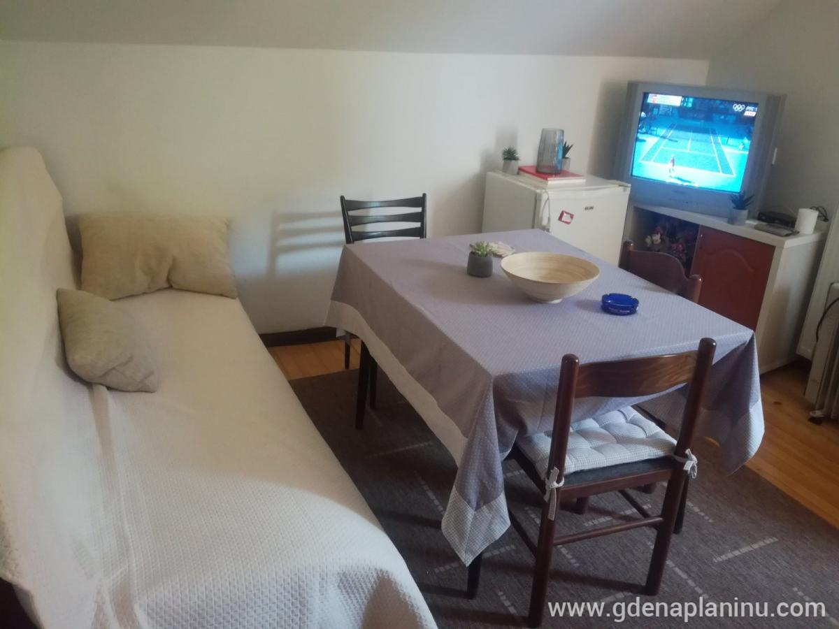 Apartman Ivaa, private accommodation in city Nova Varoš, Serbia - IMG-2d30b047e56eea84fdf0a0f818d60393-V