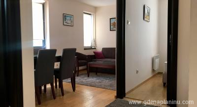 Mećava apartman "Iskra", private accommodation in city Kopaonik, Serbia