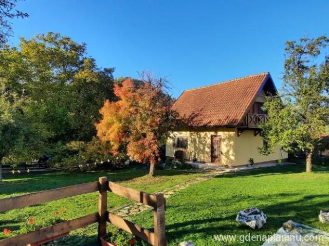Rentaj tracak raja - Vila Kovina, privatni smeštaj u mestu Papratište, Srbija