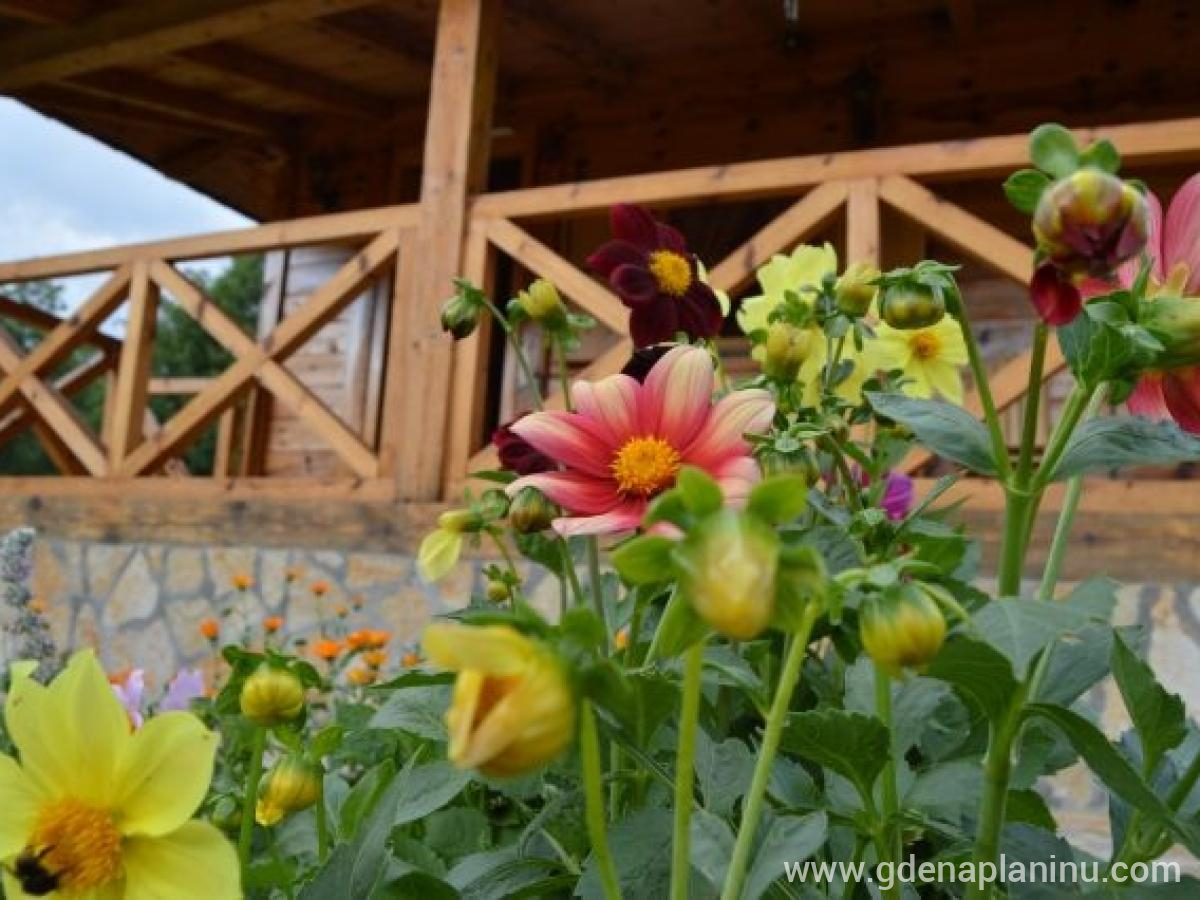 Apartmani Mateja – Mokra Gora, privat innkvartering i sted Mokra Gora, Serbia - Apartmani Mateja – dvorište i eksterijer