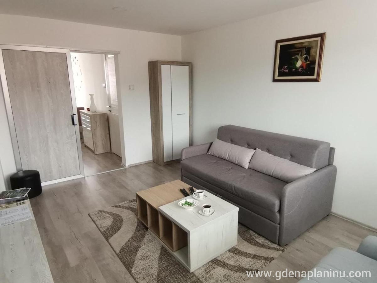 Fantastik apartman, privatni smeštaj u mestu Bajina Bašta, Srbija - Prostor za boravak i odmor