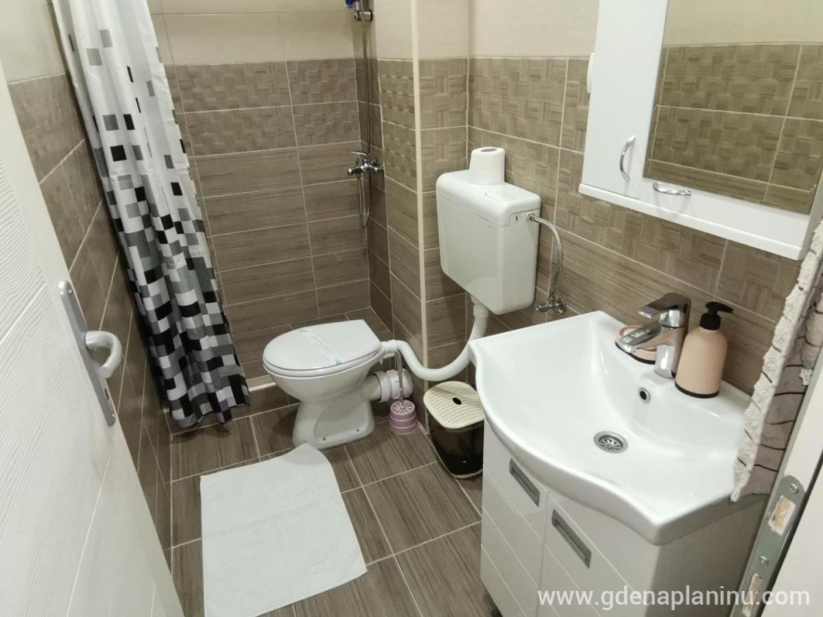 Fantastik apartman, privatni smeštaj u mestu Bajina Bašta, Srbija - Kupatilo sa tušem