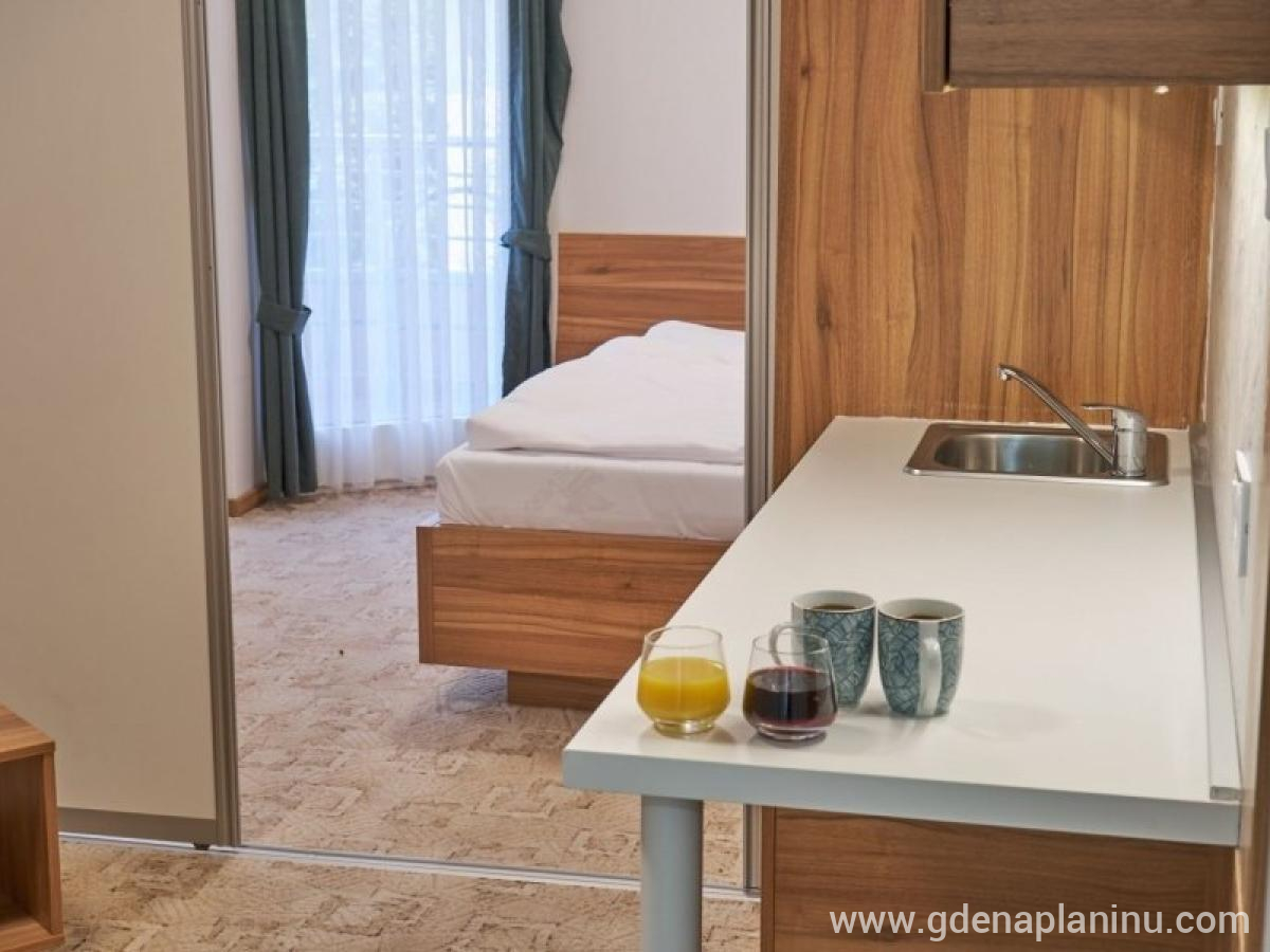 Vila Garetov konak, alloggi privati a Prolom Banja, Serbia - Studio sa kuhinjskim delom