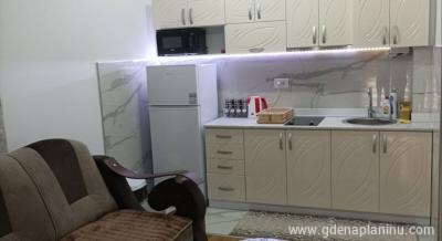 Apartman Milojević 2, logement privé à Zlatibor, Serbie