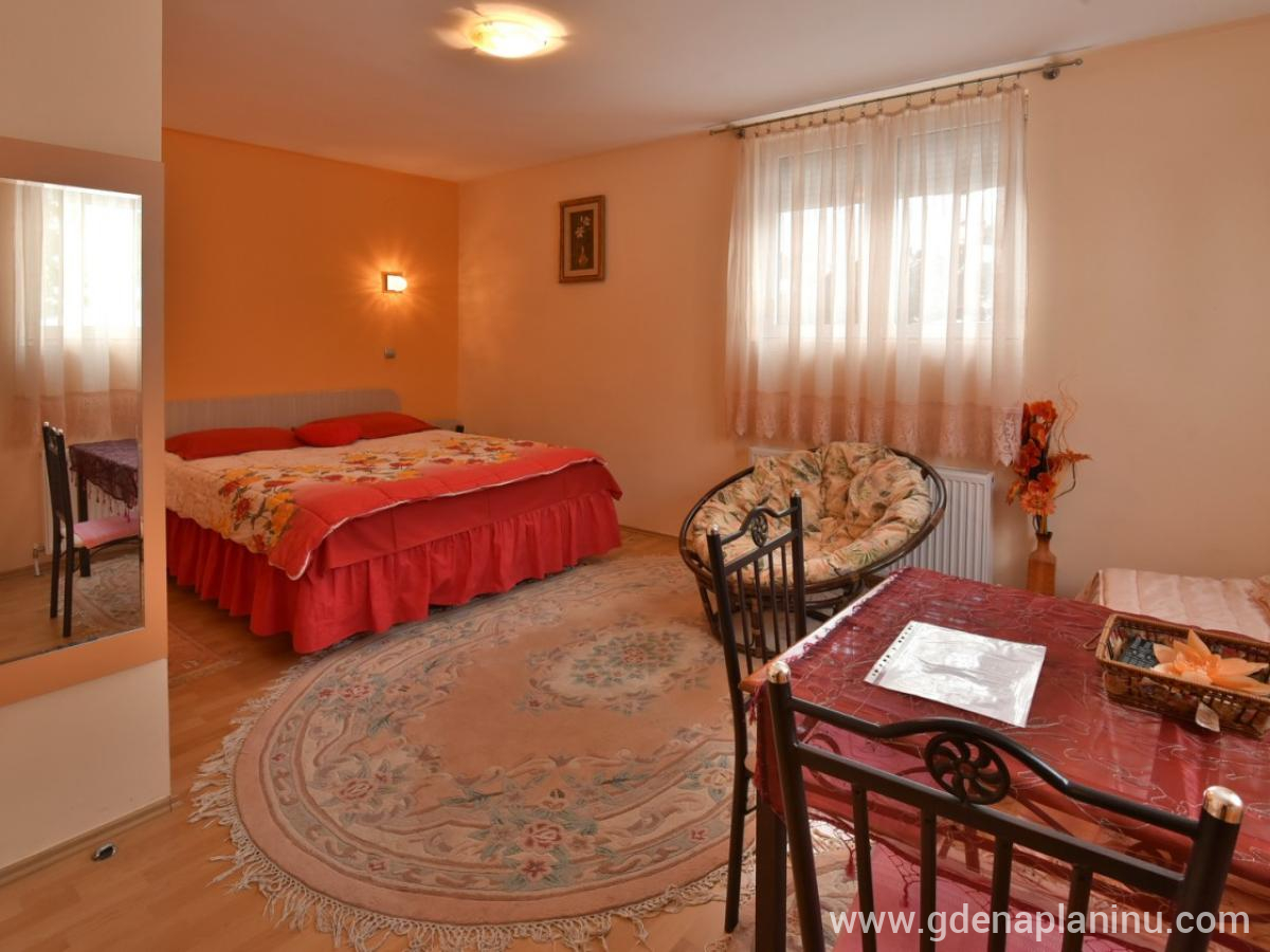 Vila Sofija Zlatibor, Delux Studio Apartman 11, alojamiento privado en Zlatibor, Serbia - 10