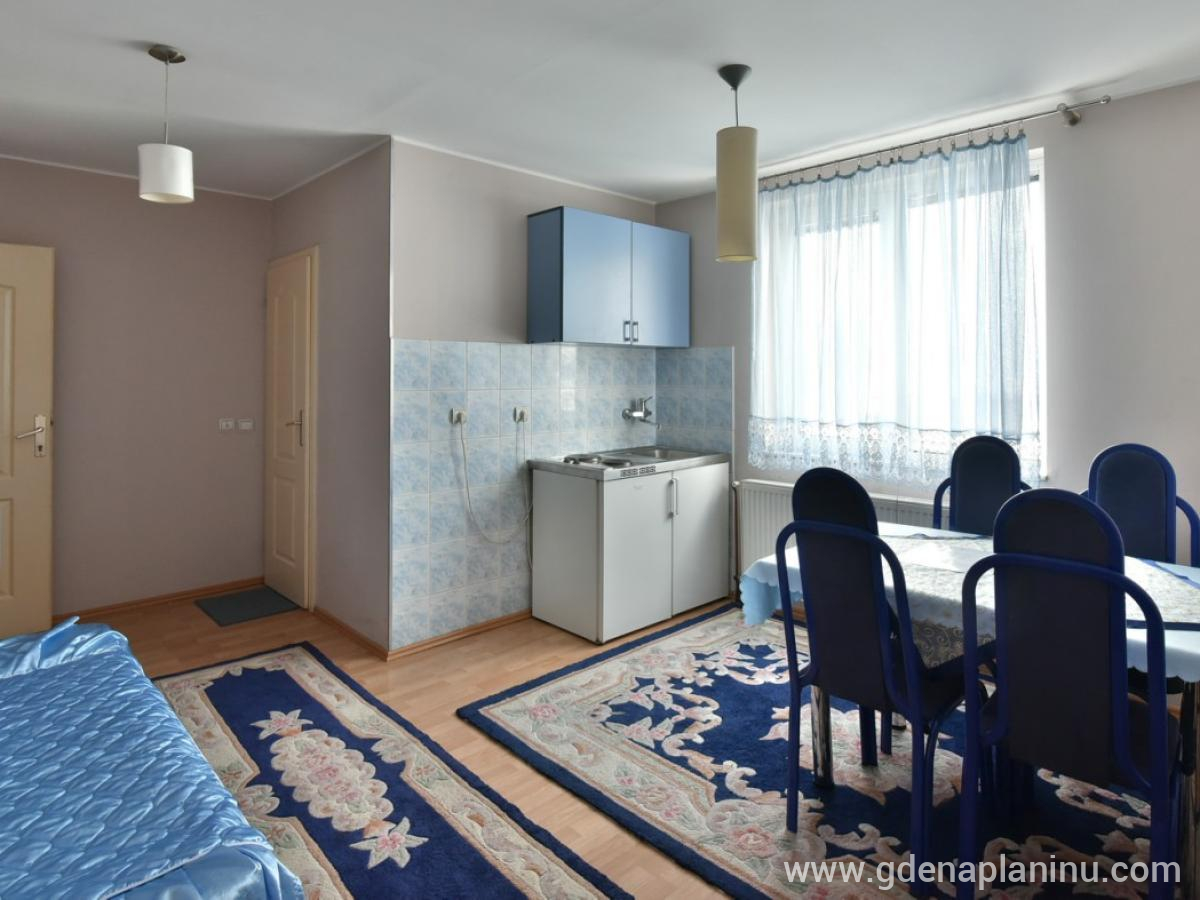 Vila Sofija Zlatibor, Studio Apartman 7, alojamiento privado en Zlatibor, Serbia - 10
