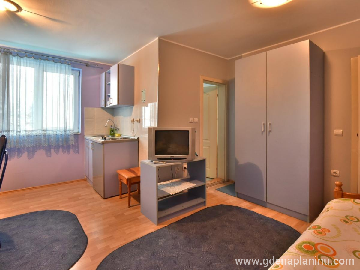 Vila Sofija Zlatibor, Studio Apartman 2, alojamiento privado en Zlatibor, Serbia - 3