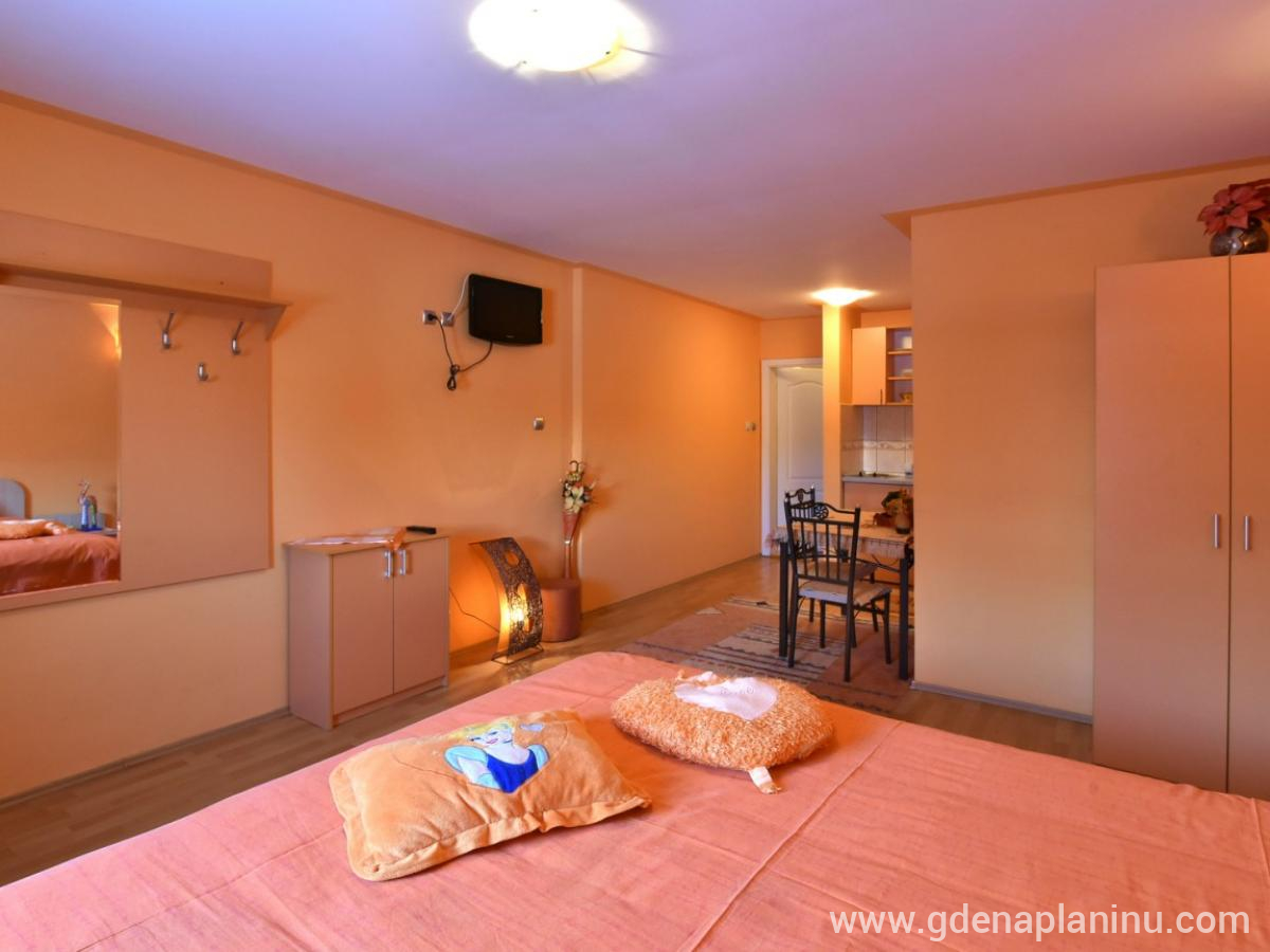 Vila Sofija Zlatibor, Delux Studio Apartman 13, privat innkvartering i sted Zlatibor, Serbia - 5