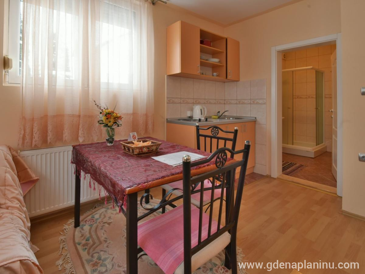 Vila Sofija Zlatibor, Delux Studio Apartman 11, alojamiento privado en Zlatibor, Serbia - 6