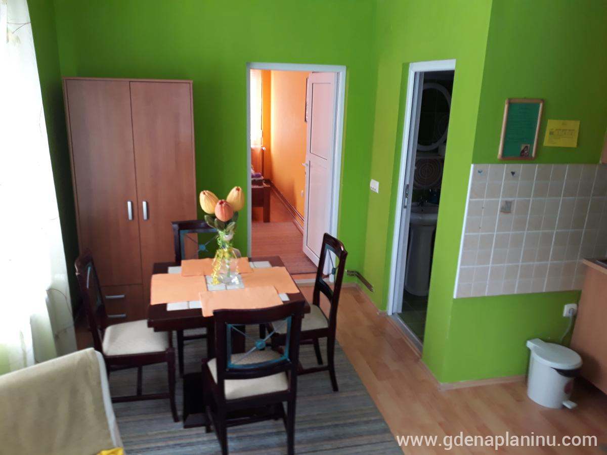 Apartmani M & M, Apartman 1, privatni smeštaj u mestu Divčibare, Srbija - 20190119_094829