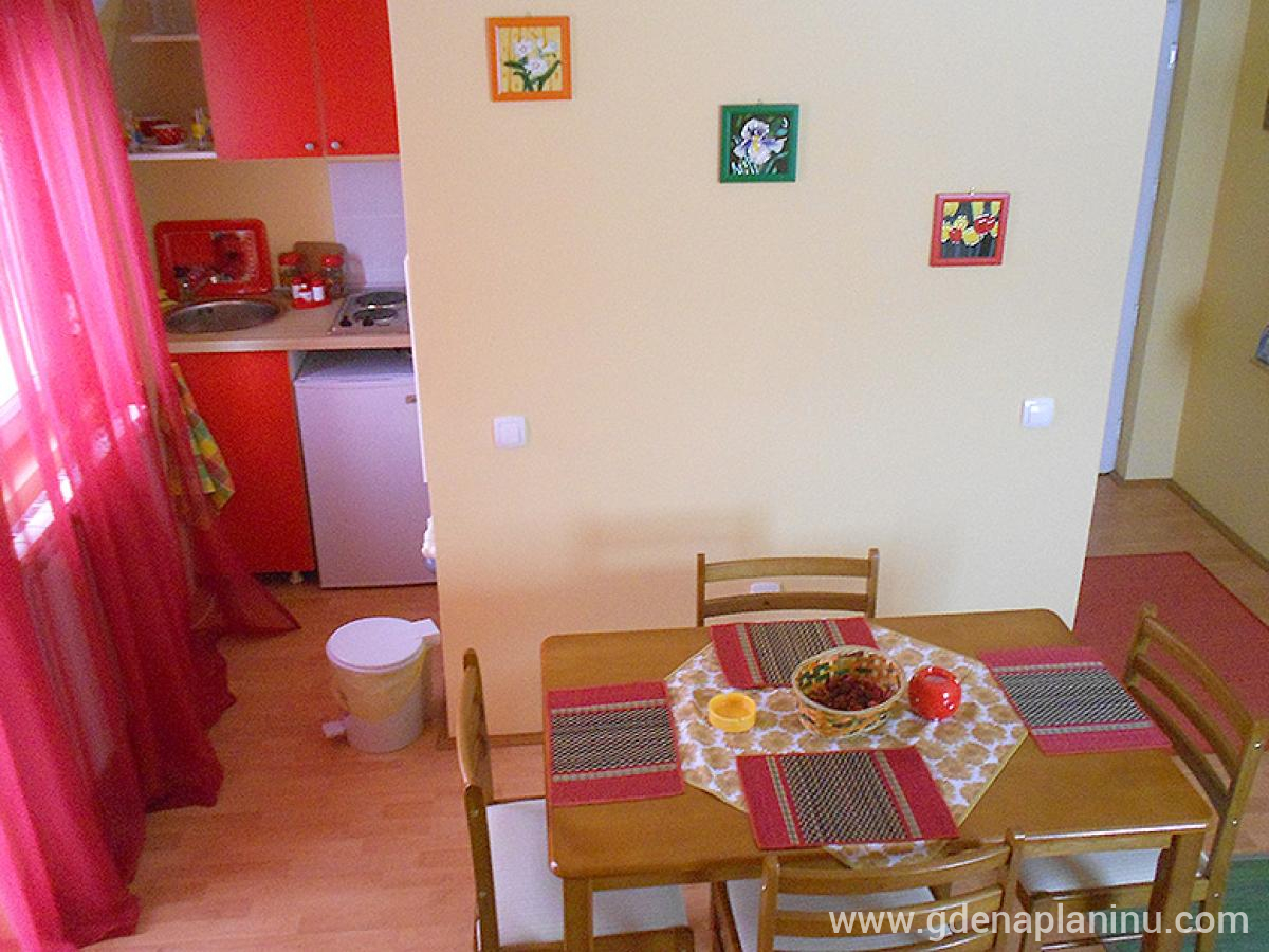 Apartmani M & M, Apartman 4, privatni smeštaj u mestu Divčibare, Srbija - apartmani-4-02v
