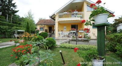 apartmani - kuće za odmor, Magán szállás a községben Vrdnik, Serbia