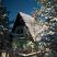 Green House zima
