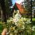 Green House prolece
