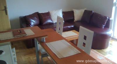 Apartman Zlatibor, private accommodation in city Zlatibor, Serbia