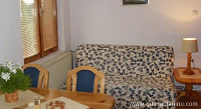 Zlatibor- apartmani ČUMIĆ, private accommodation in city Zlatibor, Serbia
