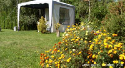 Zlatiboe- Cumic apartmani, private accommodation in city Zlatibor, Serbia