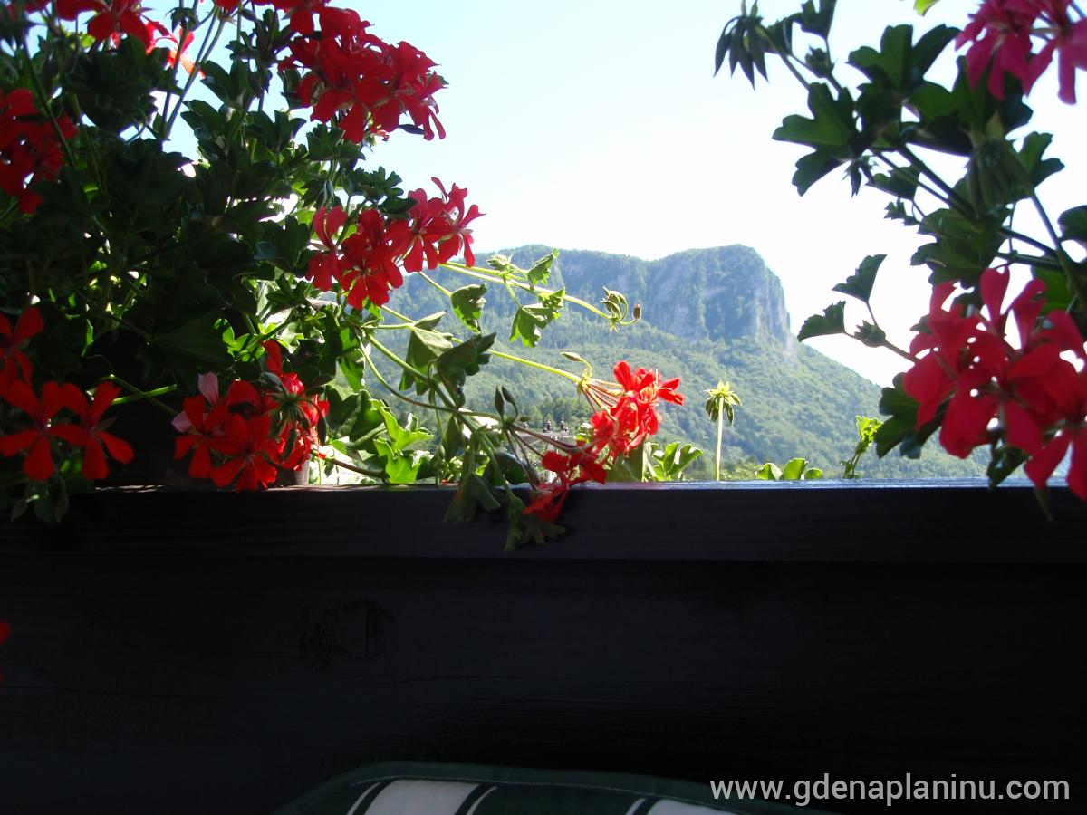 Apartmaji Gregorc , private accommodation in city Triglavski Narodni Park, Slovenia - pogled