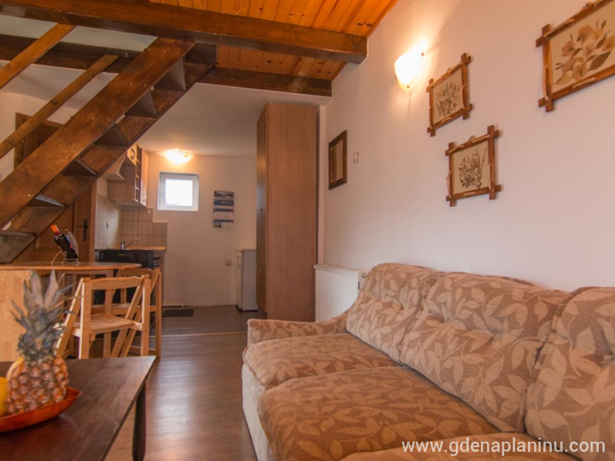 Vila Grand, ενοικιαζόμενα δωμάτια στο μέρος Tara, Σερβία - Διαμέρισμα 2