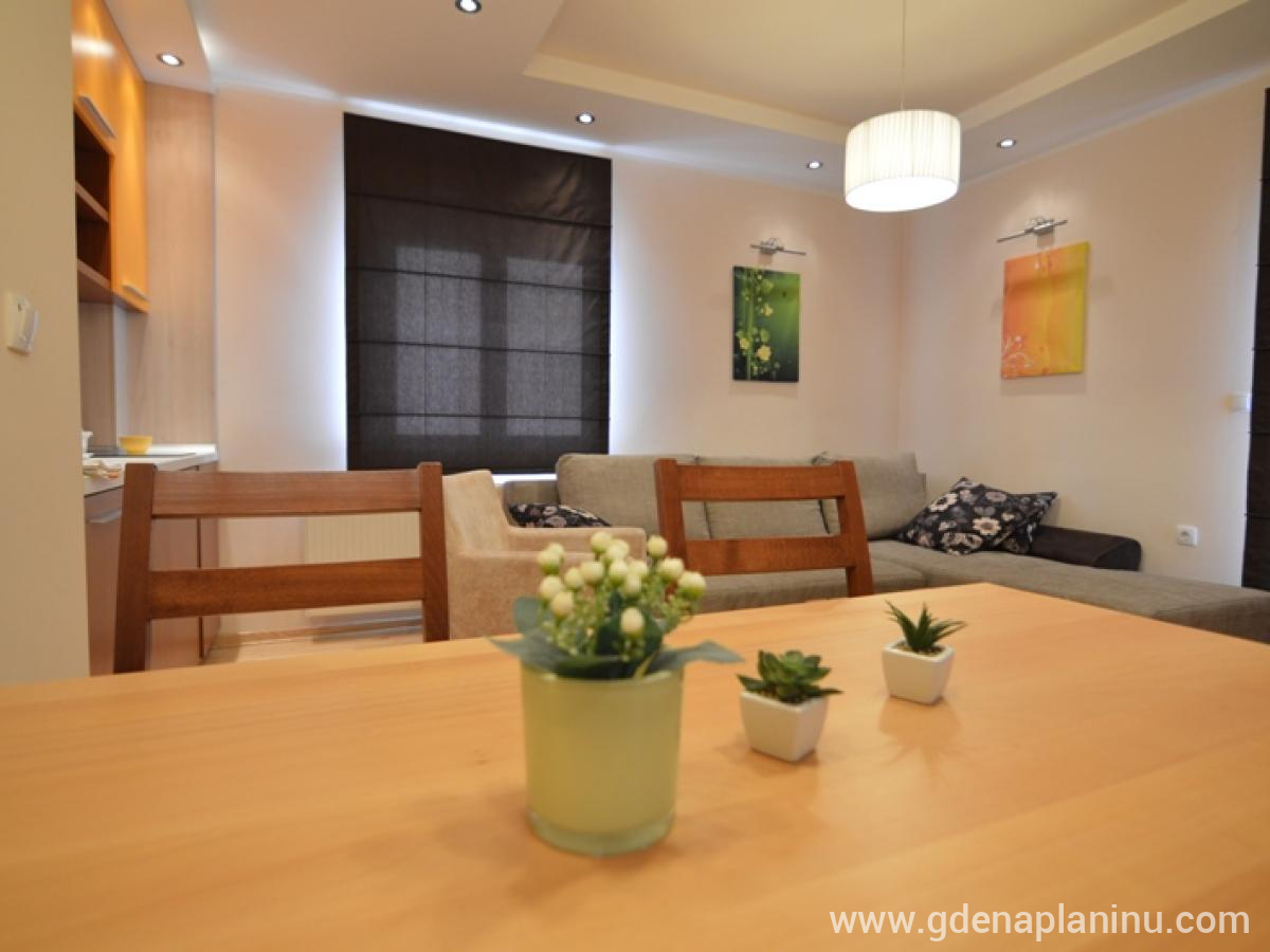 Vila Natural Wood, privat innkvartering i sted Zlatibor, Serbia