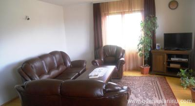 Apartman Grbo Zlatar, Magán szállás a községben Zlatar, Serbia