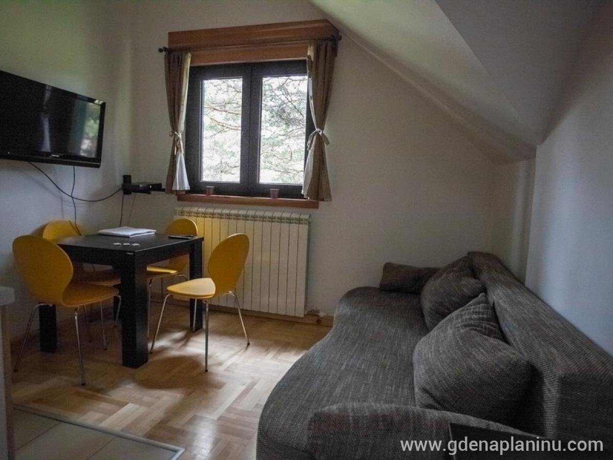 Vila Plamenac, privatni smeštaj u mestu Divčibare, Srbija