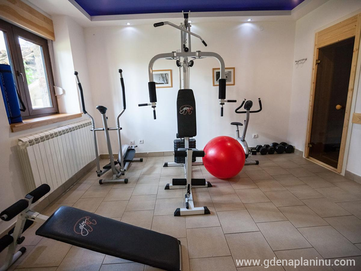 Vila Plamenac, privatni smeštaj u mestu Divčibare, Srbija