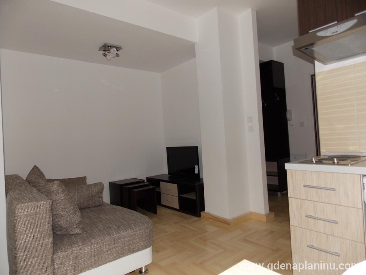 Vila Plamenac, privatni smeštaj u mestu Divčibare, Srbija