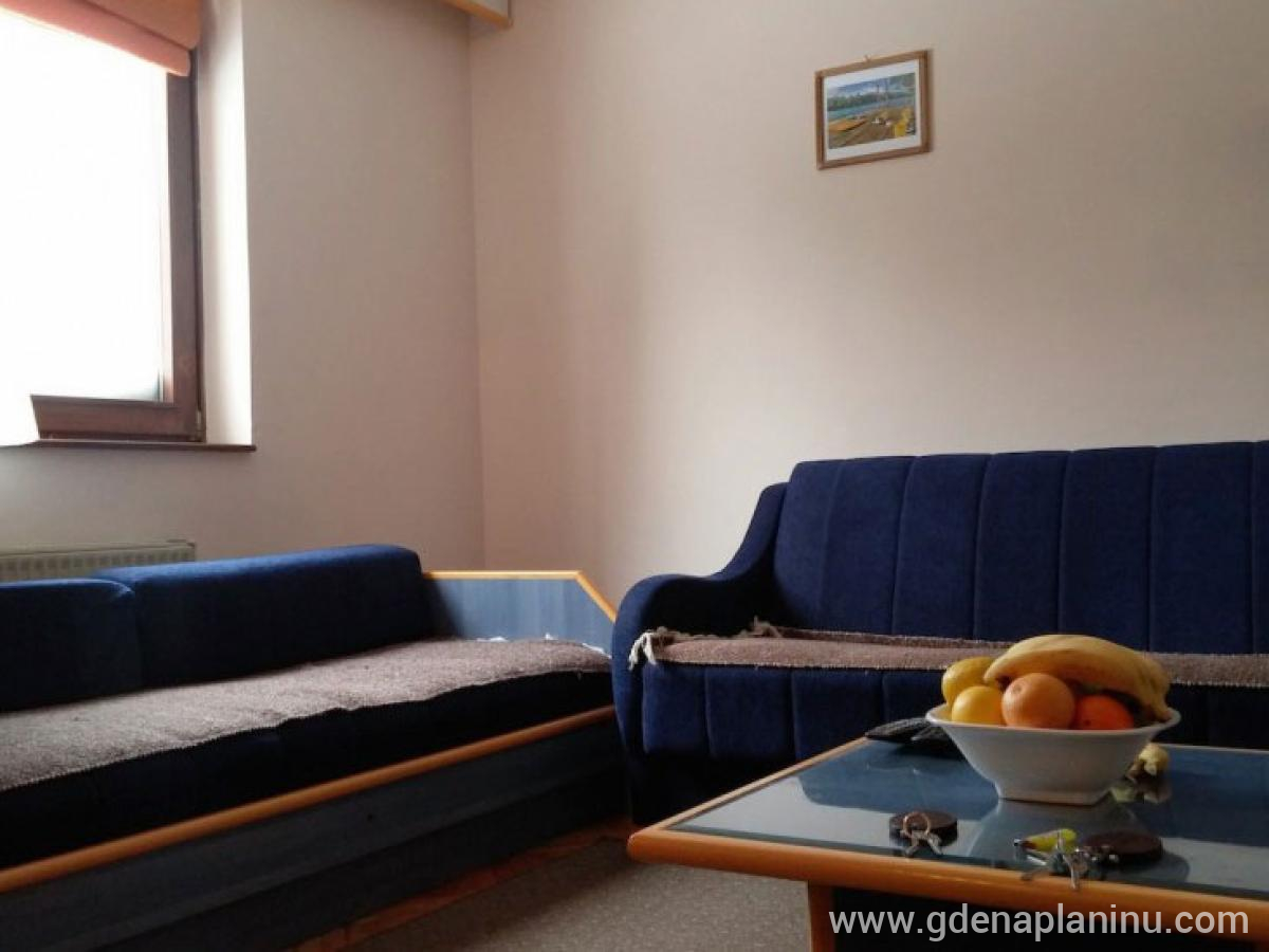 Apartman u vili Ivana, Privatunterkunft im Ort Kopaonik, Serbia