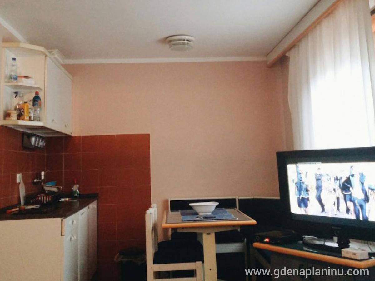 Apartman u vili Ivana, Privatunterkunft im Ort Kopaonik, Serbia