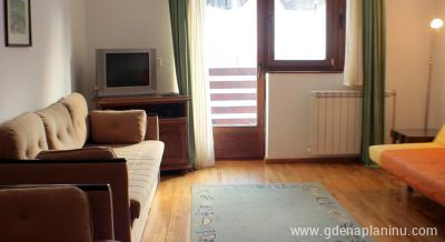 Villa Bianca- apartman 102, частни квартири в града Kopaonik, Serbia