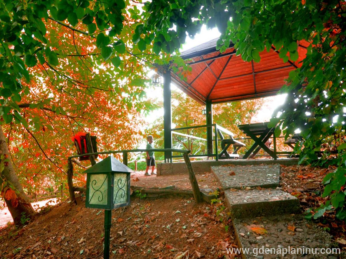 Ranč'' Platan'' Fruška Gora, privat innkvartering i sted Fruška Gora, Serbia - Fru&amp;amp;amp;amp;amp;amp;amp;amp;amp;amp;am