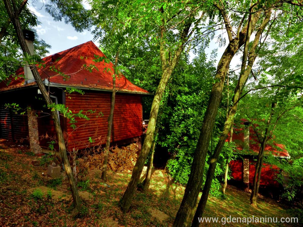 Ranč'' Platan'' Fruška Gora, privat innkvartering i sted Fruška Gora, Serbia - Fru&amp;amp;amp;amp;amp;amp;amp;amp;amp;amp;am