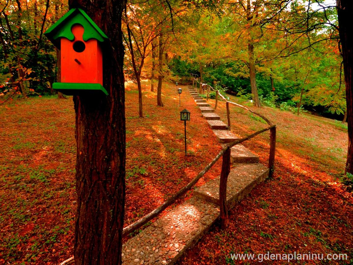 Ranč'' Platan'' Fruška Gora, privat innkvartering i sted Fruška Gora, Serbia - Fru&amp;amp;amp;amp;amp;amp;amp;amp;amp;amp;am
