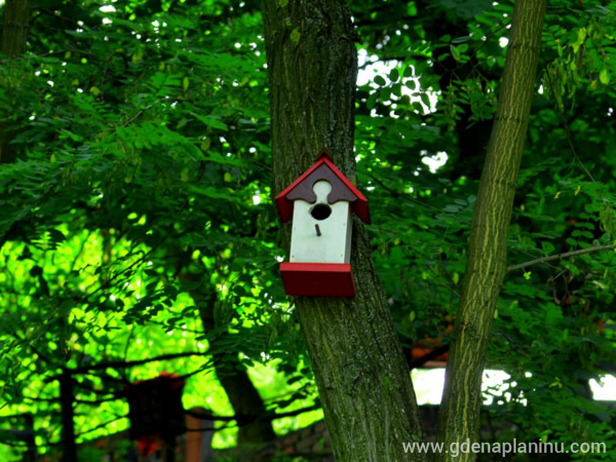 Ranč'' Platan'' Fruška Gora, privat innkvartering i sted Fruška Gora, Serbia - Fru&amp;amp;amp;amp;amp;amp;amp;amp;amp;amp;am
