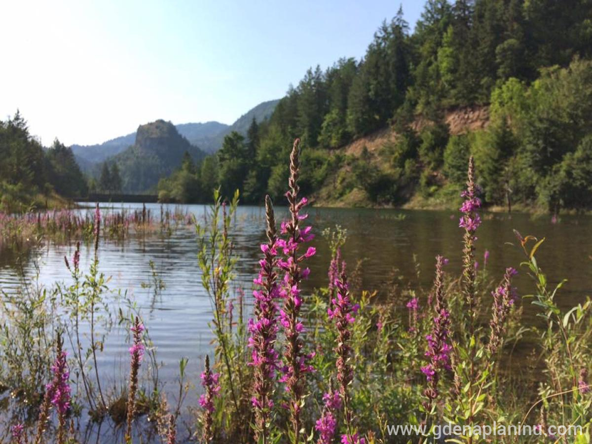 Konaci Zaovljanska jezera, alloggi privati a Tara, Serbia - Jezero Lipovica