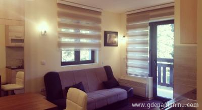 Vila Zvončica - Apartman "Mina", private accommodation in city Kopaonik, Serbia
