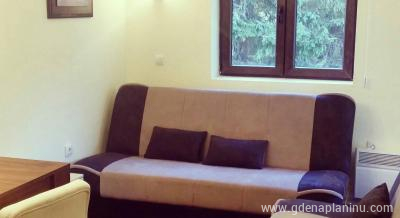Vila Zvončica - Apartman "Olga", private accommodation in city Kopaonik, Serbia