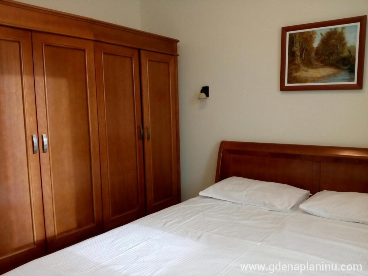 Mećava apartman "Omorika", Magán szállás a községben Kopaonik, Serbia - IMG_1838