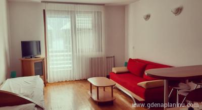 Vila Bianca apartman C, private accommodation in city Kopaonik, Serbia