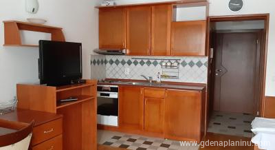 Vila Bianca Apartman N, private accommodation in city Kopaonik, Serbia