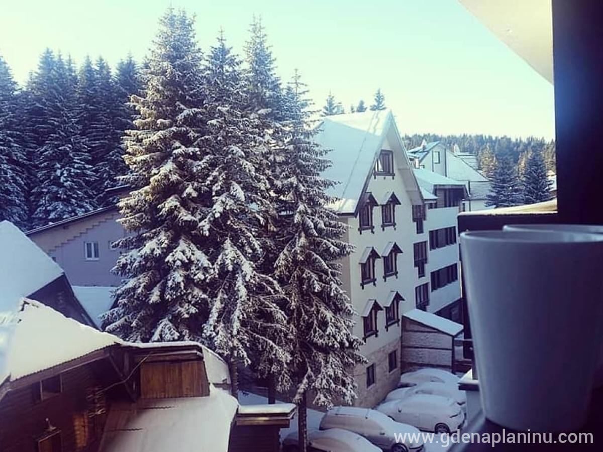 Vila Zvončica - Apartman "Mina", privatni smeštaj u mestu Kopaonik, Srbija - 82774992_10218679457670586_1478222379145494528_n