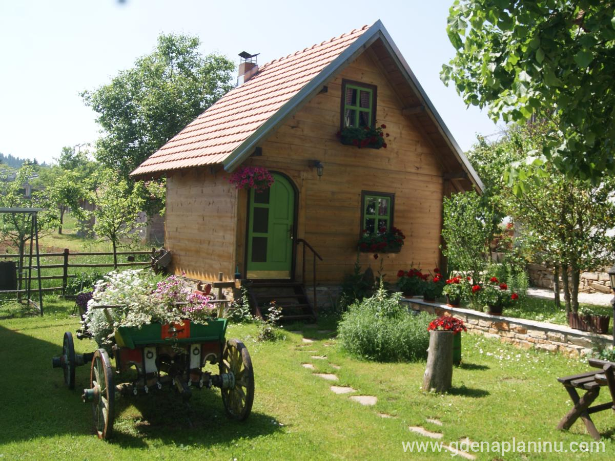 Konačiste, Частный сектор жилья Golija, Serbia - DSC09765