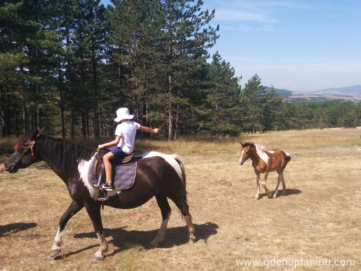 Zlatibor My village, privatni smeštaj u mestu Zlatibor, Srbija - IMG_20150802_104915