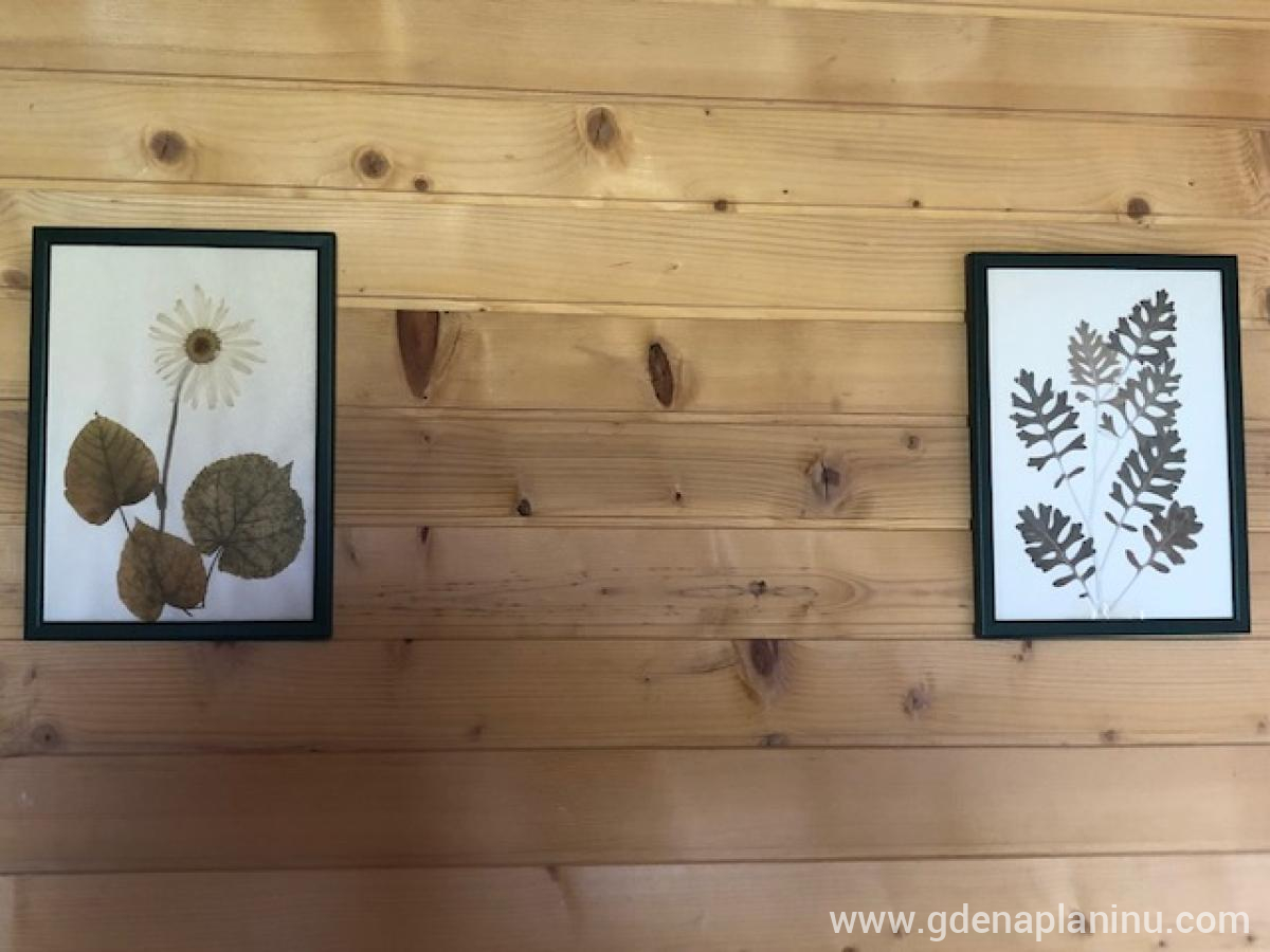 Family lux apartmani, privatni smeštaj u mestu Žabljak, Crna Gora - IMG_3194